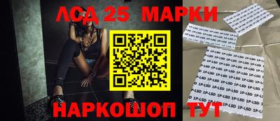 гидропоника Балашиха