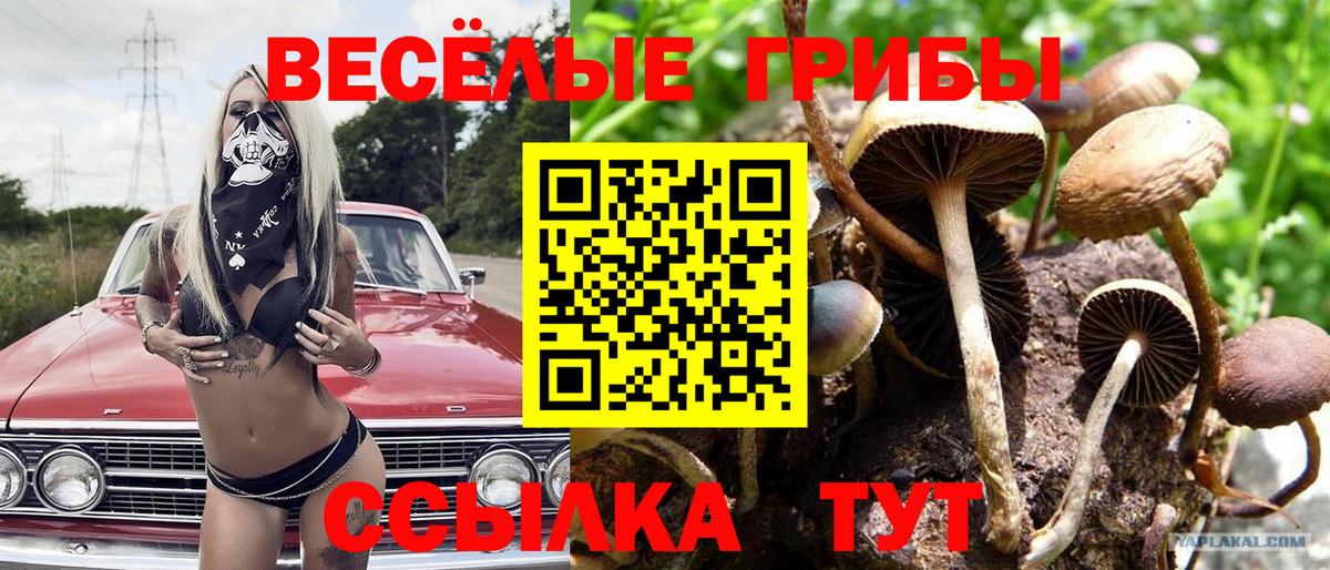 Псилоцибиновые грибы прущие грибы Елизово